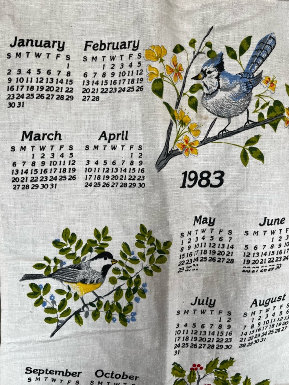 1980’s Calendar Linen Tea Towel bundle
Strawberries 1986 Birds 1983 - Picture 3 of 14